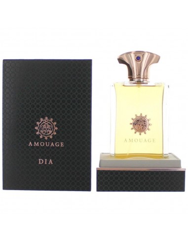 Dia by Amouage, 3.4 oz Eau De Parfum Spray for Men l'achat 