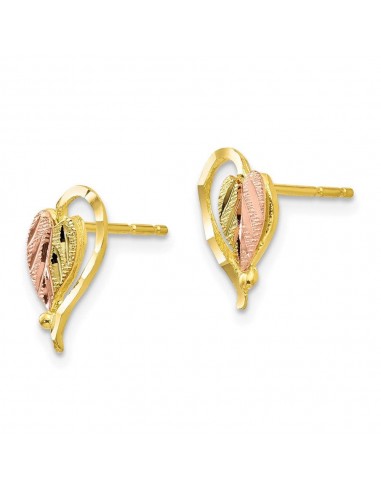 10k Tri-color Black Hills Gold Post Earrings la colonne vertébrale