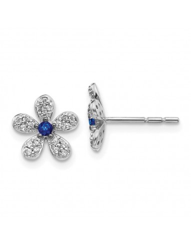 14k White Gold Diamond & Sapphire Earrings Venez acheter